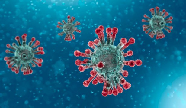Oamenii de ştiinţă din Australia au recreat noul coronavirus din China.