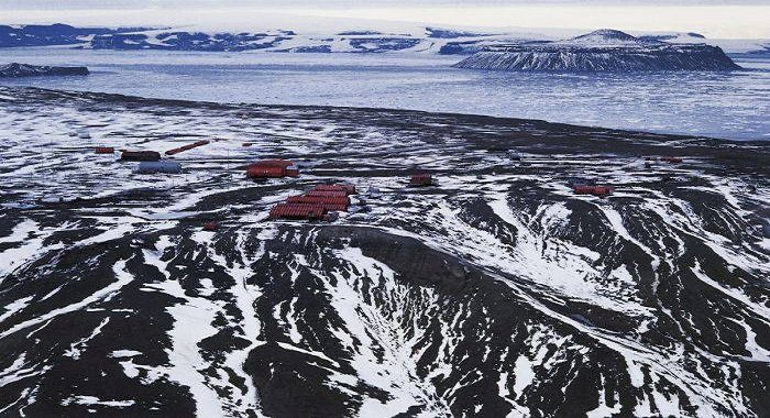 Rămășițele unei păduri luxuriante, descoperite sub gheața din Antarctica